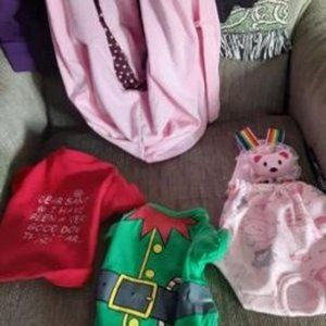 Small Dog shirts/pink carrier